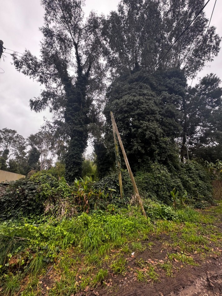 Terreno Excelente Ubicacion en Bosque de Peralta Ramos