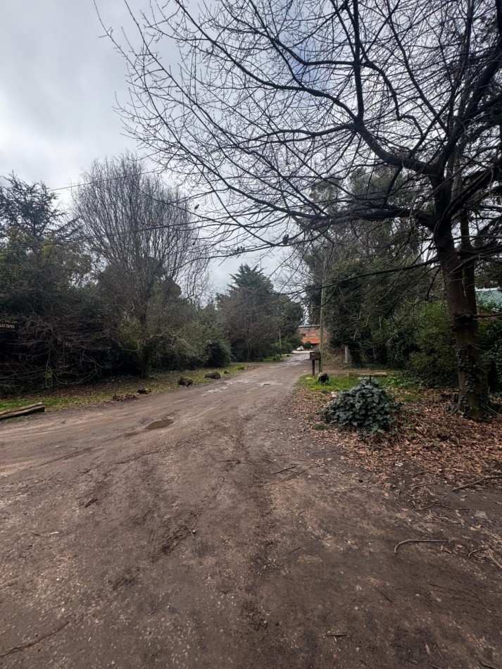 Terreno Excelente Ubicacion en Bosque de Peralta Ramos